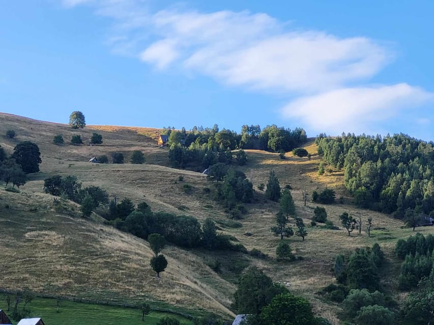 Sibiu: Cindrel Mountains Hike with Traditional Brunch - Forest Paths, Meadows, and Mountain Views