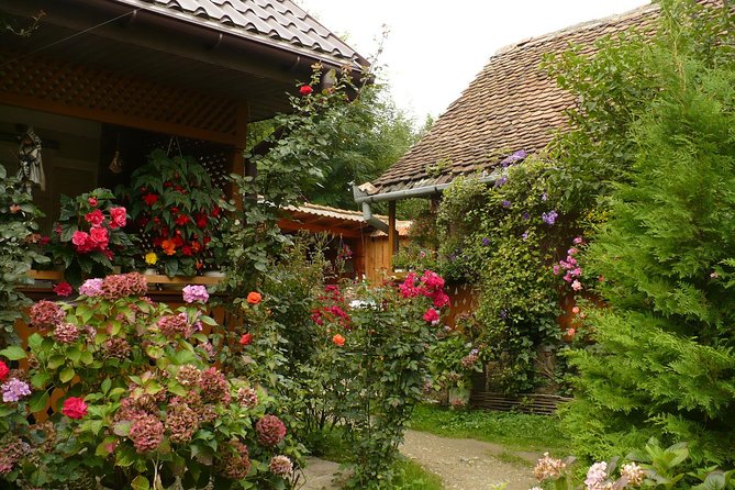 Sibiu Day Trip from Brasov - Why this Brasov to Sibiu day trip works
