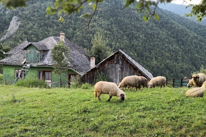 Slanic Salt Mines & Village Charms: Bucharest Day Escape - Timing, comfort, and who should book