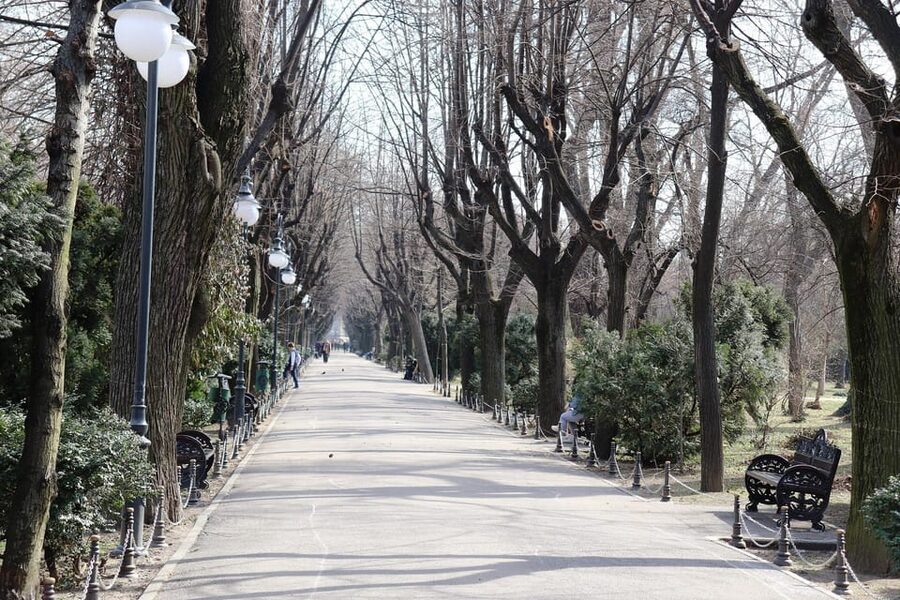 Slavery in Romania,Myths and Truths on Gypsies, Walking Tour - Communism, property, and the city after political change