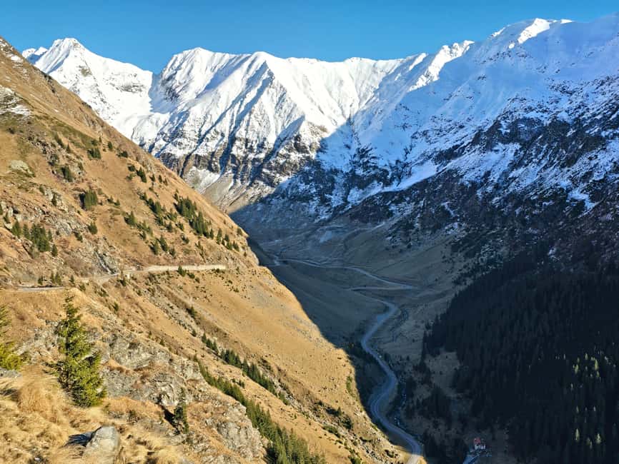 Small group Bears 'Safari' on Transfăgărășan -max 7 tourists - What $101 buys you