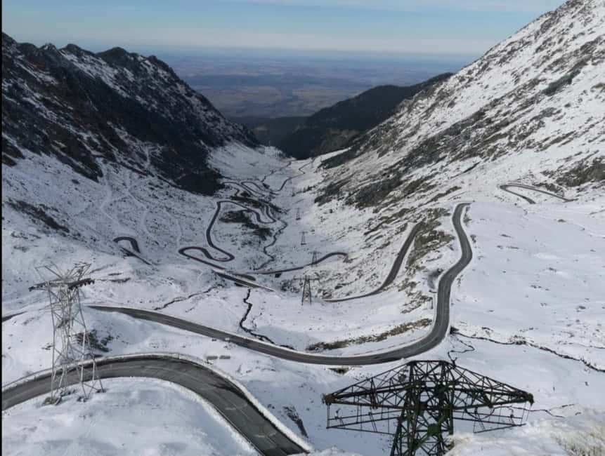 Small group Bears 'Safari' on Transfăgărășan -max 7 tourists - Why the bears make this Bucharest day trip different