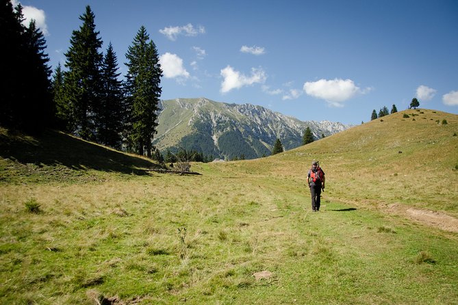 Small-Group Day Trip in Romanian Authentic Mountain Villages from Brasov - Guides, group size, and the human factor