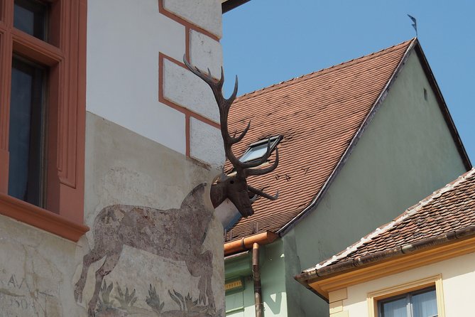 Small Group Tour to Viscri Church Sighisoara Town Rupea Fortress - Why this day trip works from Brașov