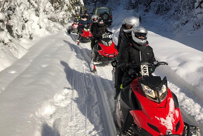 SnowMobiles Tour in Carpathian Mountains - Peles Castle gives the day a cultural anchor
