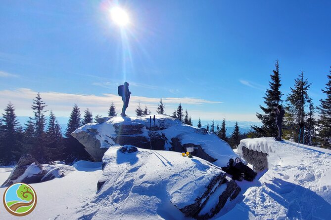 Snowshoeing Fun Tour from Cluj Napoca - Why Great Mountain makes a good winter escape