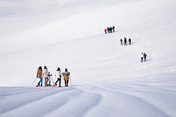 Snowshoeing Fun Tour from Cluj Napoca - Who will enjoy this most?
