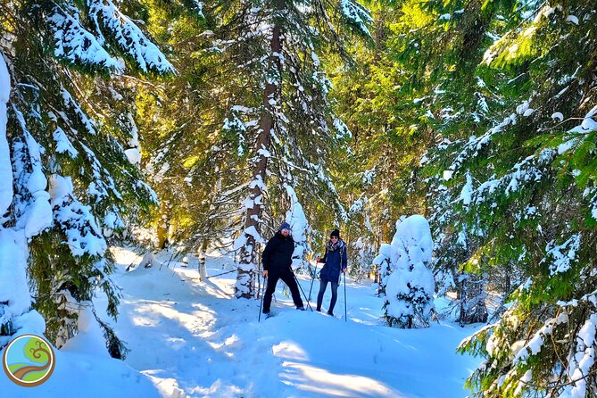 Snowshoeing Fun Tour from Cluj Napoca - The 8:00 am start and the move from city to mountain