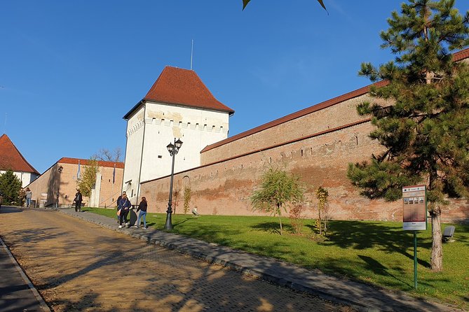 Targu Mures 3 hours walking tour - Cuza Vodă market and a possible synagogue visit