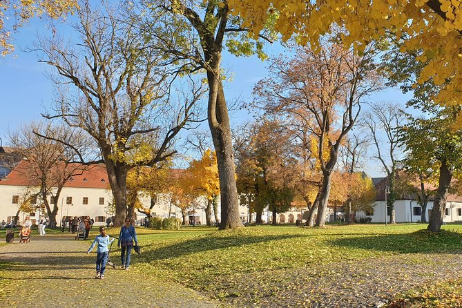 Targu Mures 3 hours walking tour - The mayor’s house and the central square