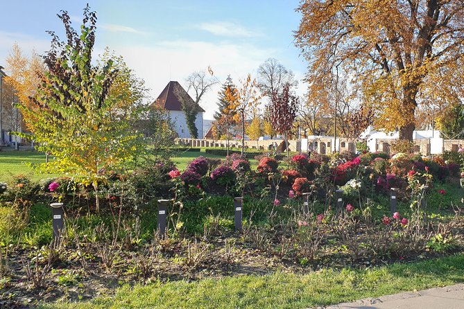 Targu Mures 3 hours walking tour - Teleki-Bolyai Library and the Bolyai family