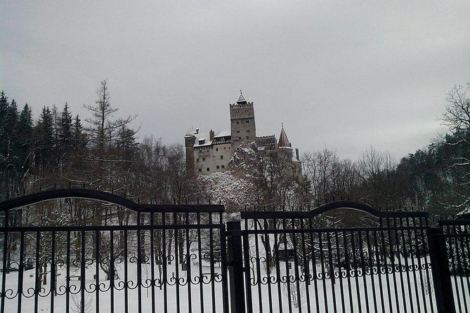 The Castles from the Carpathian Mountains! The Fixers Private Tour - What the guide adds to the experience