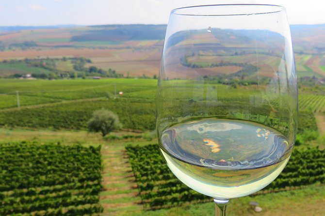The wine route by bike - Key points at a glance