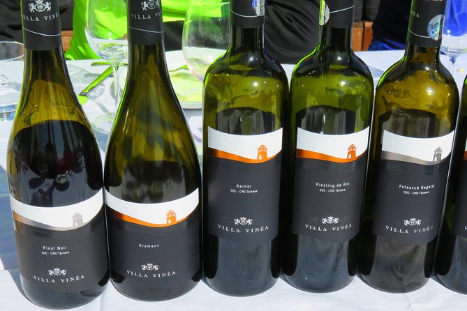 The wine route by bike - Food, water, bikes, and the value of support