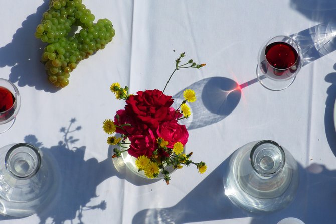 The wine route by bike - The 12-kilometer ride to Rotenberg Winery