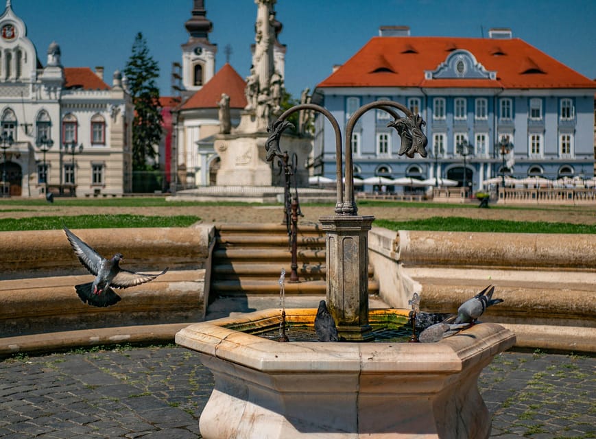 Timisoara: Private Walking Tour with a Local Guide - Is $81 per person fair value?