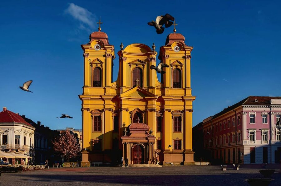 Timisoara: Private Walking Tour with a Local Guide - Starting at Piața Victoriei 8