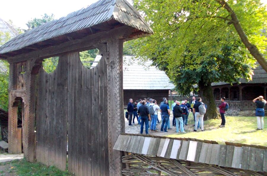 Traditions in Bucharest: Village Museum and Wine Tasting - Three Romanian wines and a small local plate