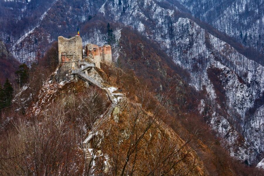 Transfagarasan Road Trip - Bear spotting is possible, not guaranteed