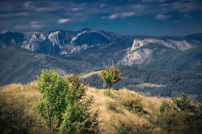 Transfer Bucharest -Brasov with Targoviste and Bran Castle visits - Is $190.81 per person good value?