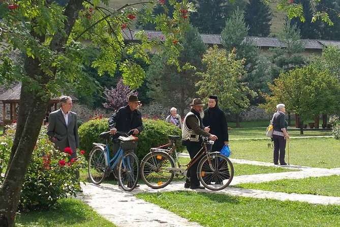 Transylvania & Bucovina Private Tour - 6 days - Accommodation, transport, and daily comfort