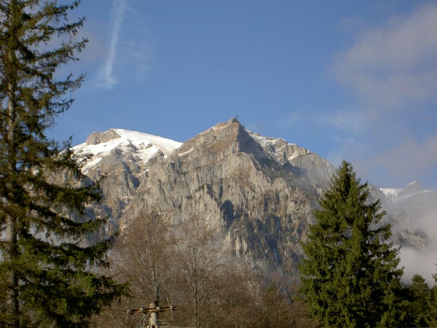Transylvania: Cultural Full-Day Trip by Minivan - Sinaia and the royal world of Peles Castle