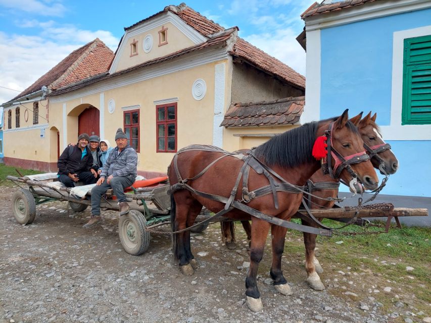 Transylvania Gems: Sighisoara, Medias, Biertan & Gypsy life - Why this route works from Cluj
