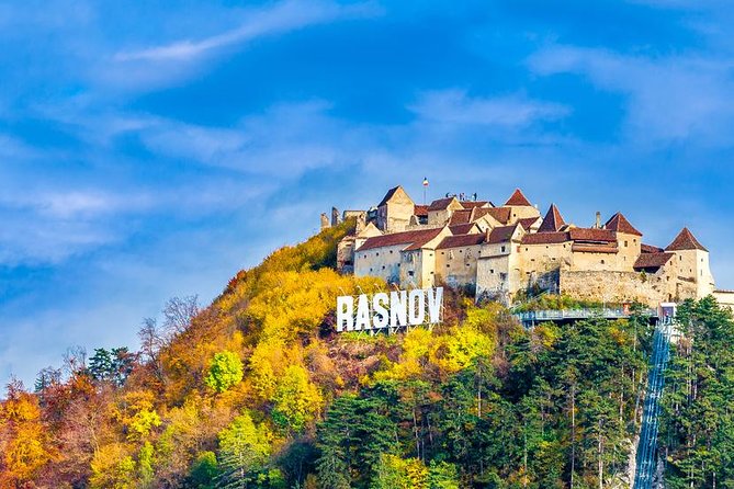 Transylvania Private Castle Day Trip from Bucharest - Guides, vehicles, and the private format