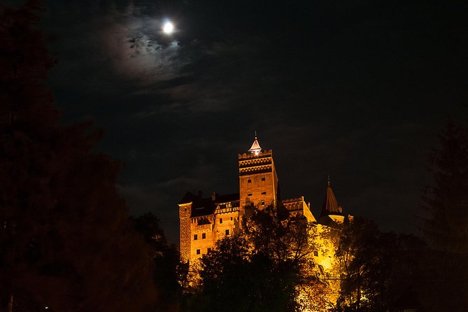 Transylvania with Dracula Castle, Bear Sanctuary and Brasov - Key points to know before booking