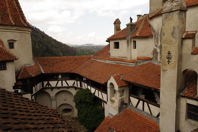 Transylvania with Dracula Castle, Bear Sanctuary and Brasov - What the $155 price really buys