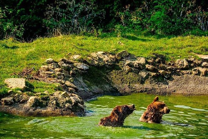 Transylvania with Dracula Castle, Bear Sanctuary and Brasov - Useful planning tips for a smoother day