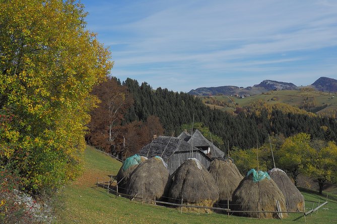 Village life in Transylvanian Carpathian mountains - 8 days - Day four: the village chain from Magura to Fundata