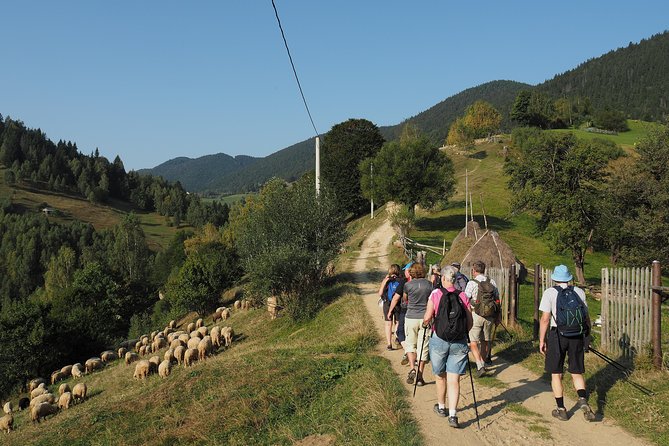 Village life in Transylvanian Carpathian mountains - 8 days - Day six: the wilder side of Bucegi