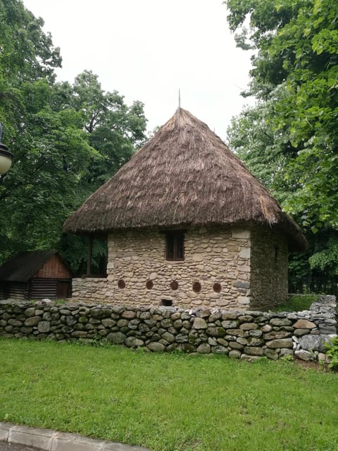 Village Museum Bucharest Guided Tour - Who should book this experience?