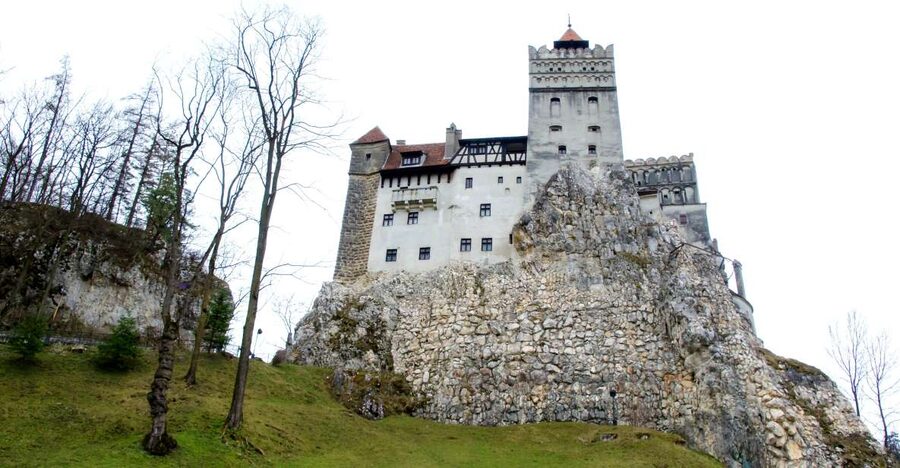 Visit Bear Sanctuary and Bran Castle from Brasov - Key points to know before you book