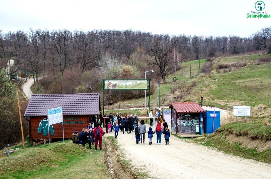 Visit Bear Sanctuary and Bran Castle from Brasov - Why this Brașov day trip works