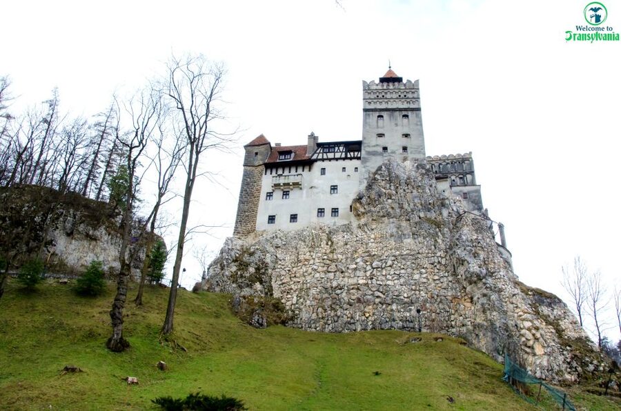 Visit Bear Sanctuary and Bran Castle from Brasov - Bran Castle in 90 minutes