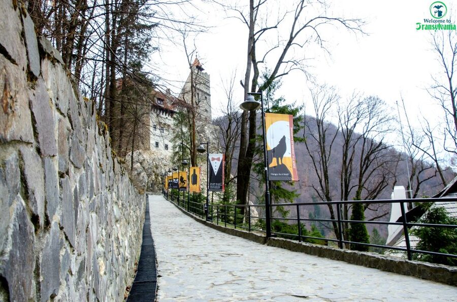 Visit Bear Sanctuary and Bran Castle from Brasov - What the $83 price includes