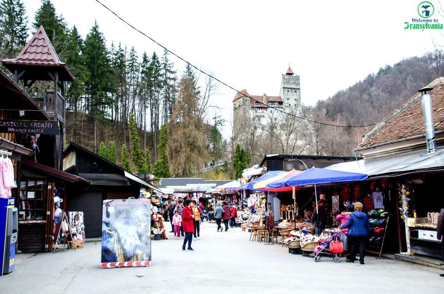 Visit Bear Sanctuary and Bran Castle from Brasov - The 45-minute ride from Brașov
