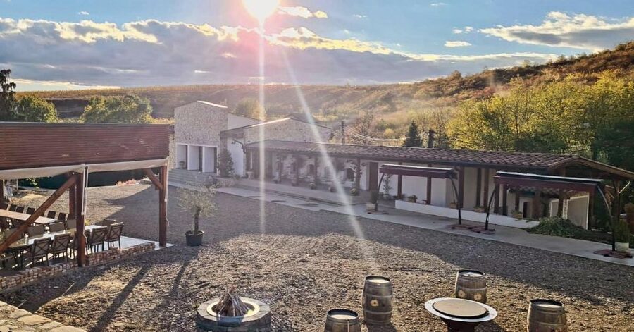 Winery touring & private wine tasting - one day private tour - First tasting at a modern local winery