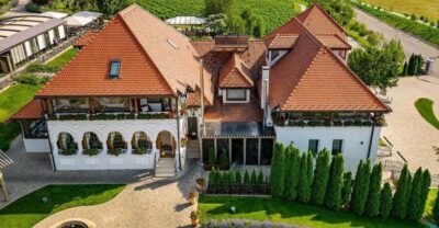 Winery touring & private wine tasting – one day private tour